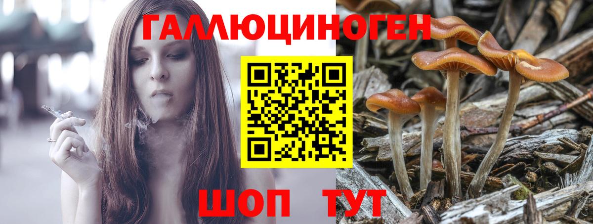 Рязань  Галлюциногенные грибы Magic Shrooms  Вход с VPN 