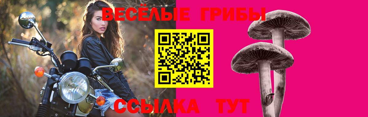 Галлюциногенные грибы Psilocybine cubensis Рязань